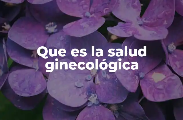 Que es la Salud Ginecológica