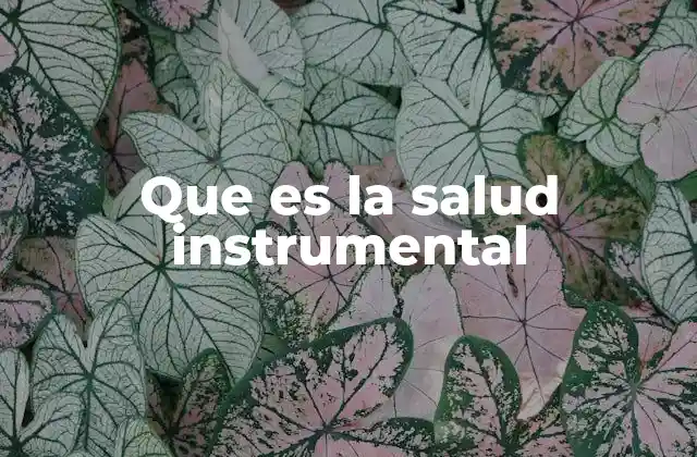 Que es la Salud Instrumental 2 La salud instrumental y la calidad de vida