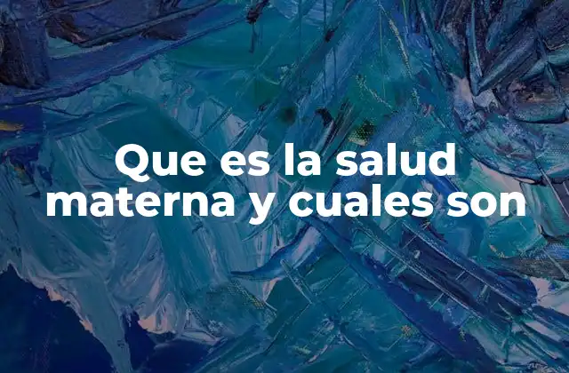 Que es la Salud Materna y Cuales Son