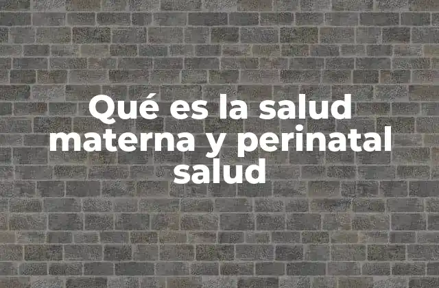 Qué es la Salud Materna y Perinatal Salud