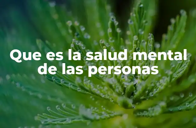 Que es la Salud Mental de las Personas