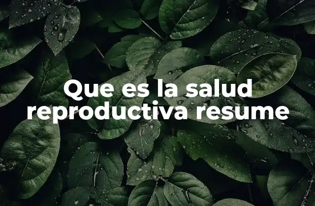 Que es la Salud Reproductiva Resume