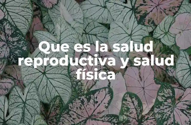 Que es la Salud Reproductiva y Salud Física