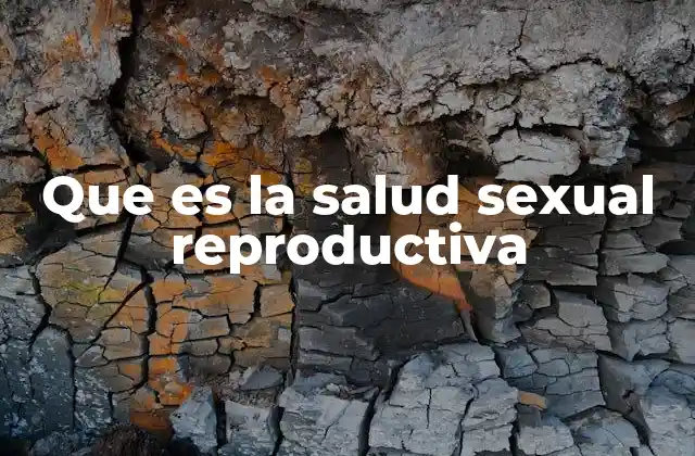 Que es la Salud Sexual Reproductiva