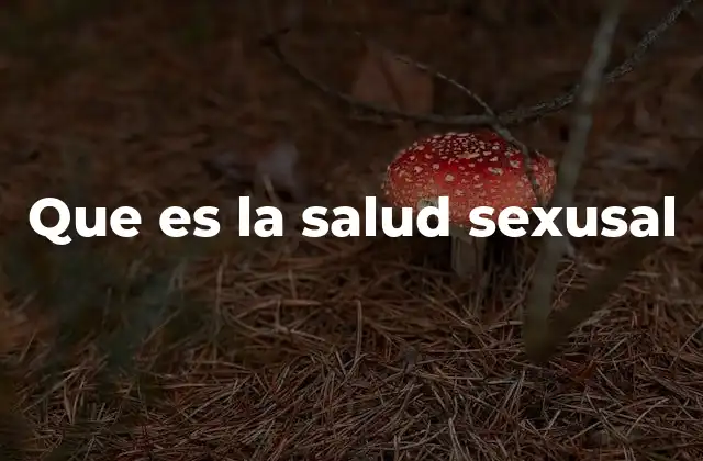 Que es la Salud Sexusal 2 El papel de la salud sexual en la vida personal y social