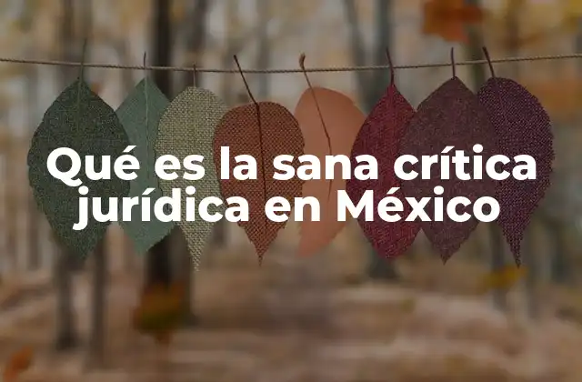 Qué es la Sana Crítica Jurídica en México