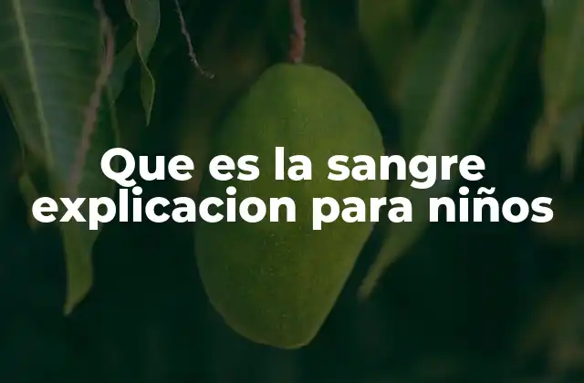 Que es la Sangre Explicacion para Niños