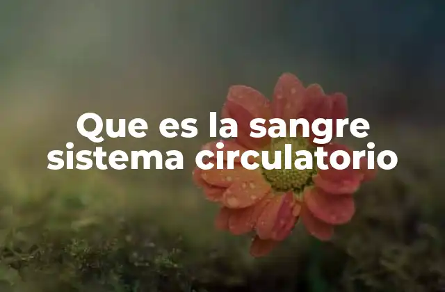 Que es la Sangre Sistema Circulatorio