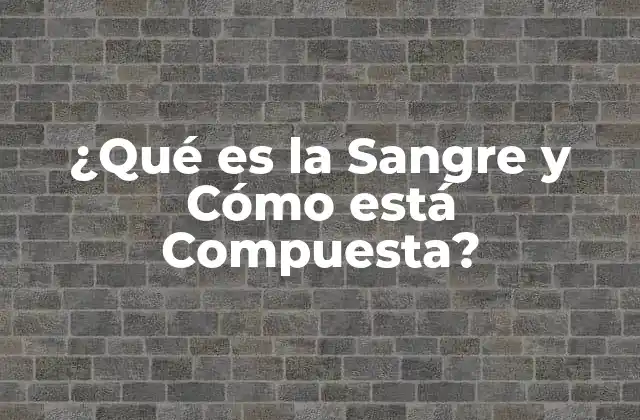 ¿qué es la Sangre y Cómo Está Compuesta?