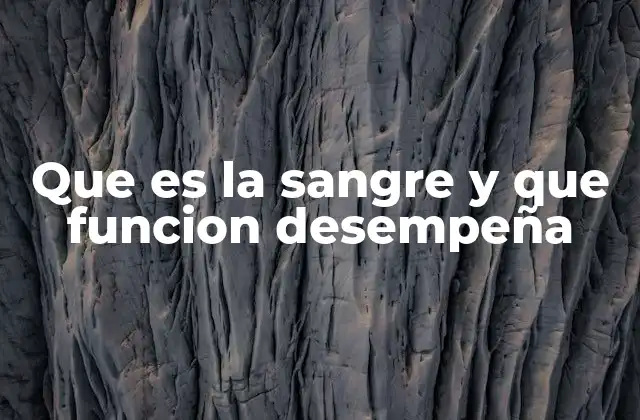 Que es la Sangre y que Funcion Desempeña