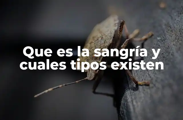 Que es la Sangría y Cuales Tipos Existen 2 La evolución de una bebida tradicional