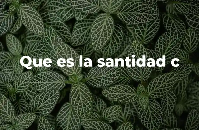 Que es la Santidad C