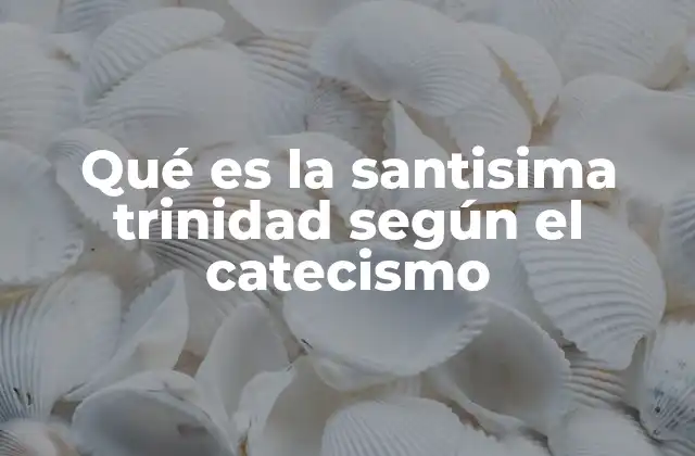 Qué es la Santisima Trinidad según el Catecismo