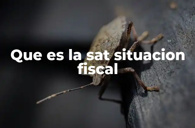 Que es la Sat Situacion Fiscal