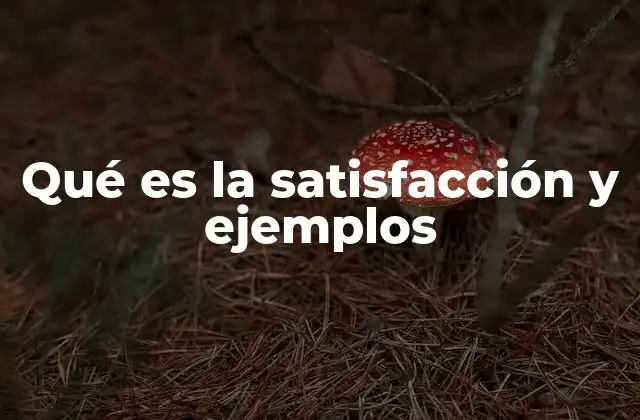 Cómo la satisfacción influye en nuestro bienestar emocional