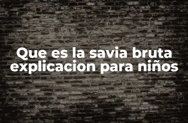 Que es la Savia Bruta Explicacion para Niños 2 Cómo se mueve la savia por las plantas