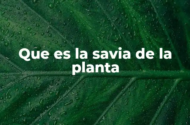 Que es la Savia de la Planta