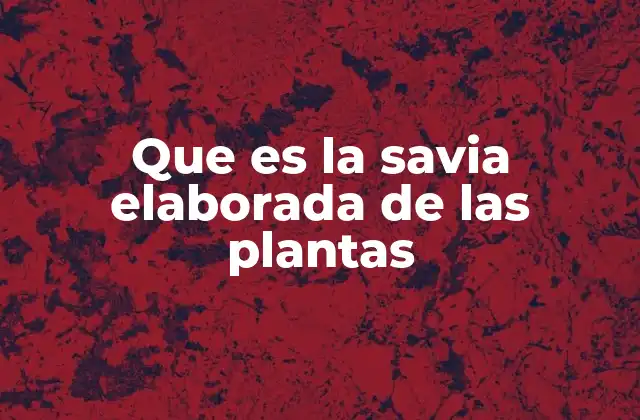 Que es la Savia Elaborada de las Plantas