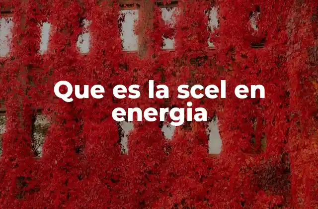 Que es la Scel en Energia