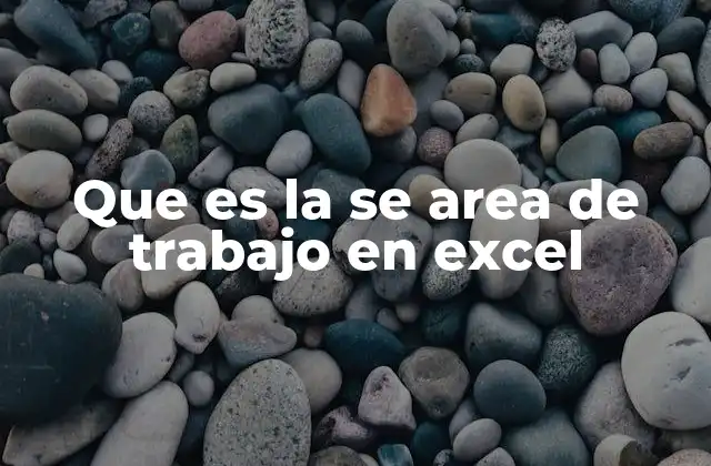 Que es la Se Area de Trabajo en Excel