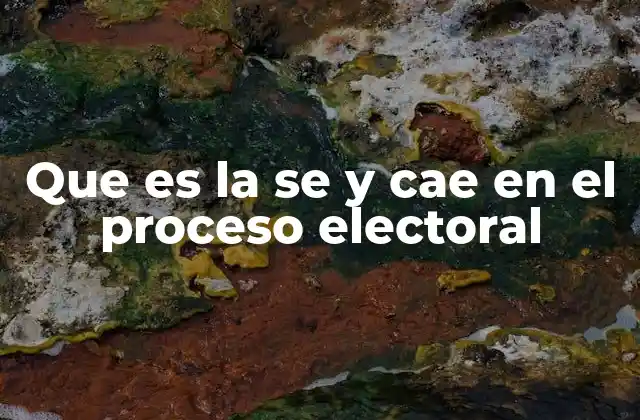 Que es la Se y Cae en el Proceso Electoral