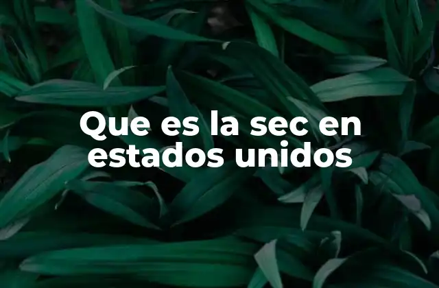 Que es la Sec en Estados Unidos