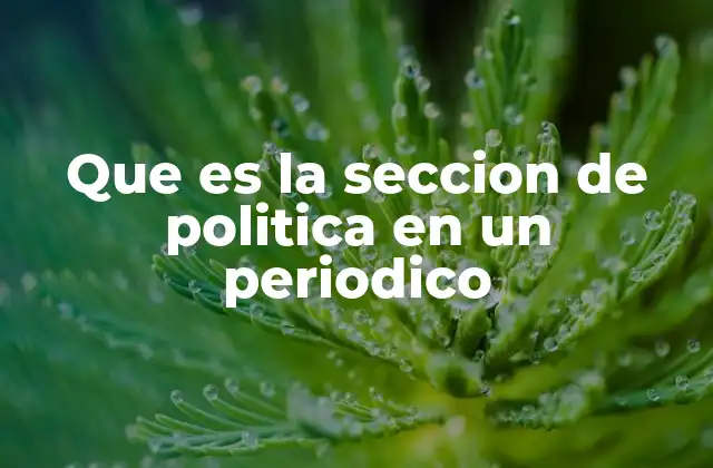 Que es la Seccion de Politica en un Periodico