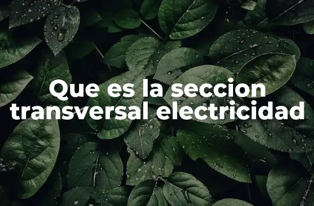 Que es la Seccion Transversal Electricidad