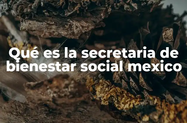 Qué es la Secretaria de Bienestar Social Mexico