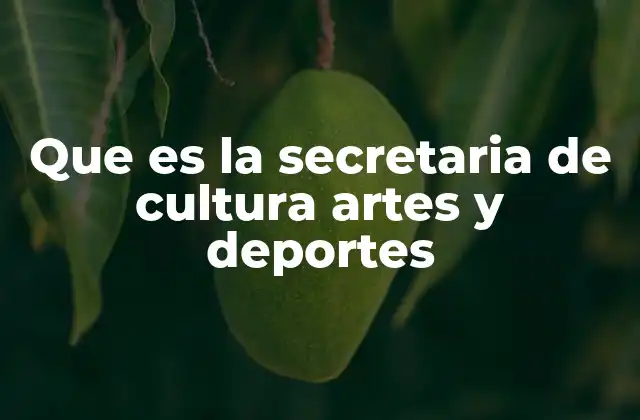Que es la Secretaria de Cultura Artes y Deportes