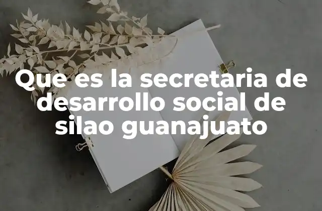 Que es la Secretaria de Desarrollo Social de Silao Guanajuato