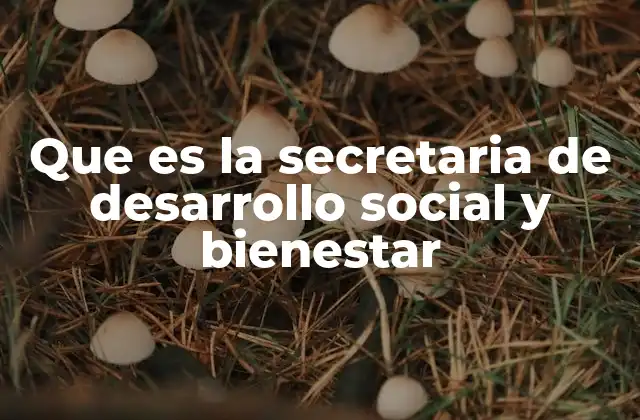 Que es la Secretaria de Desarrollo Social y Bienestar