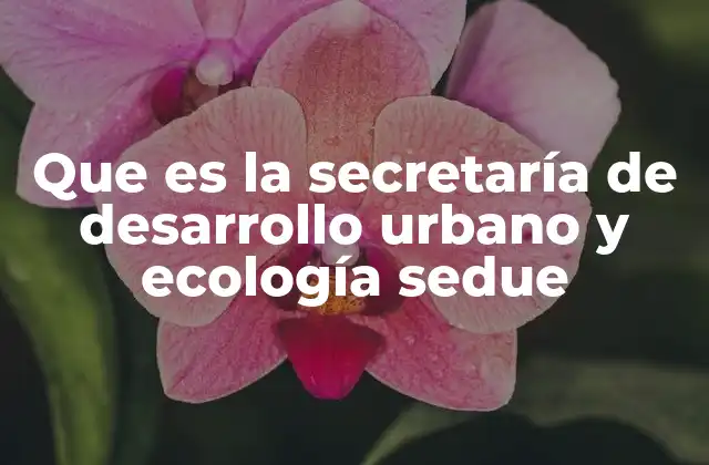 Que es la Secretaría de Desarrollo Urbano y Ecología Sedue