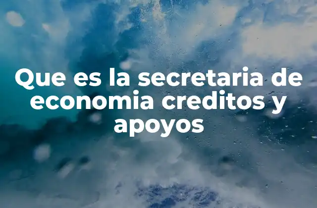 Cómo funcionan los créditos y apoyos económicos gubernamentales