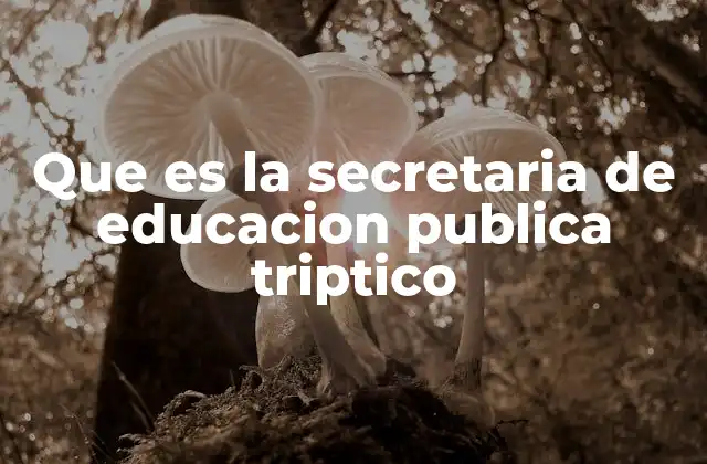 Que es la Secretaria de Educacion Publica Triptico