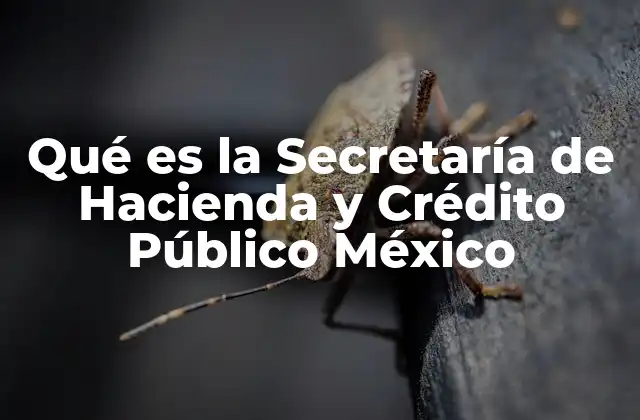 Qué es la Secretaría de Hacienda y Crédito Público México