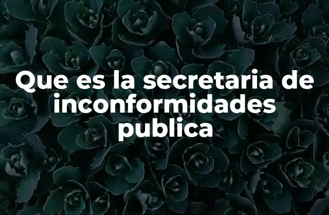 El papel de los canales de denuncia en la gestión pública