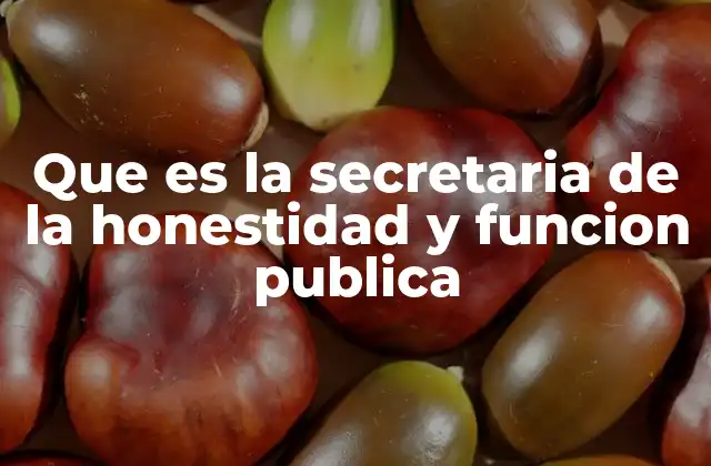 Que es la Secretaria de la Honestidad y Funcion Publica