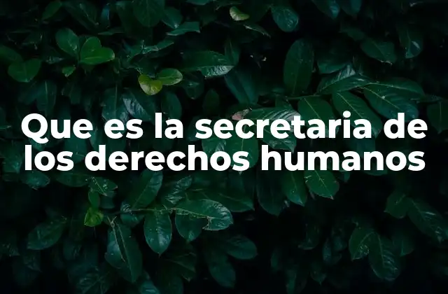 Que es la Secretaria de los Derechos Humanos
