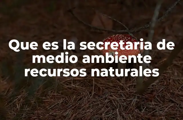 Que es la Secretaria de Medio Ambiente Recursos Naturales