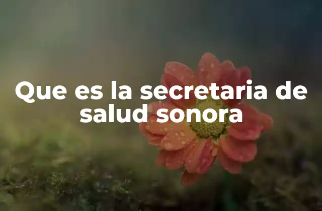 Que es la Secretaria de Salud Sonora