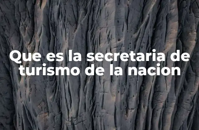 El rol estratégico del turismo en la economía nacional