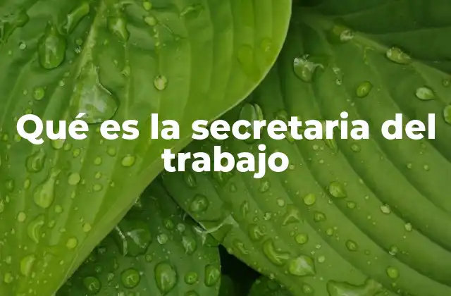 Qué es la Secretaria Del Trabajo