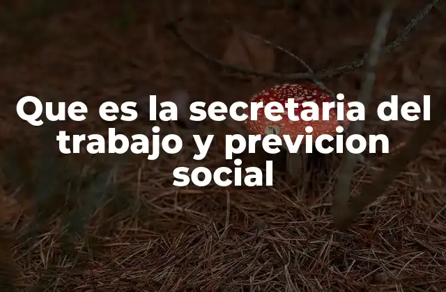 Que es la Secretaria Del Trabajo y Previcion Social