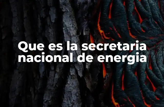 Que es la Secretaria Nacional de Energia