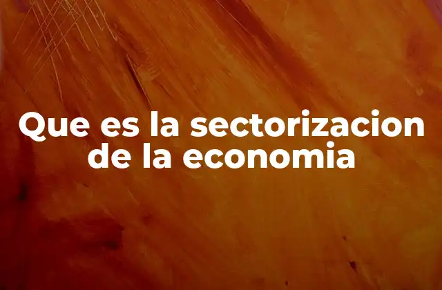 Que es la Sectorizacion de la Economia