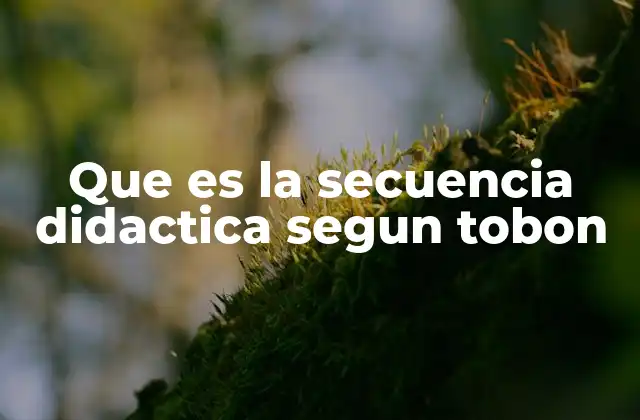 Que es la Secuencia Didactica Segun Tobon