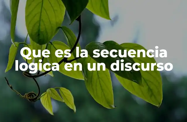Que es la Secuencia Logica en un Discurso 2 La importancia de una estructura coherente en la comunicación