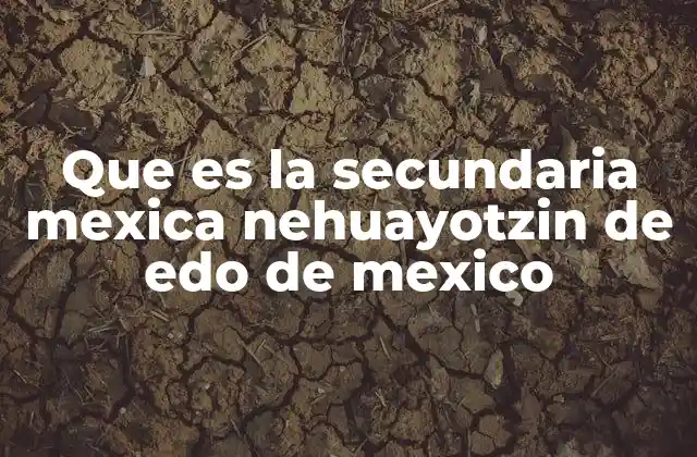 Características de la secundaria mexica Nehuayotzin