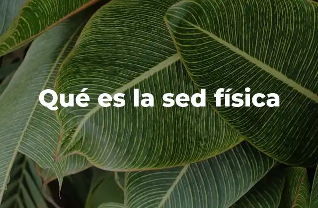 Qué es la Sed Física